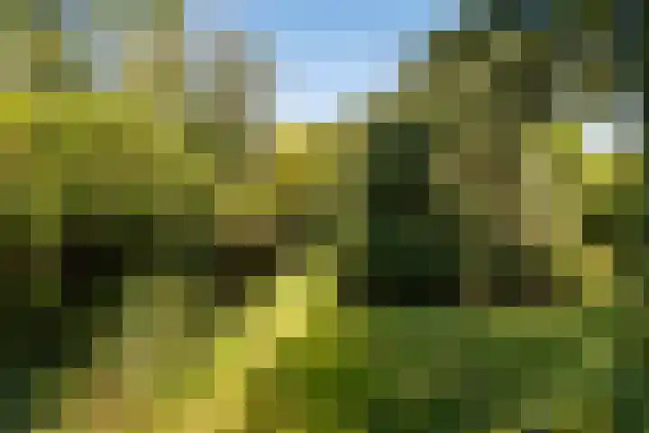 Oude Commissieweg 25 Noardburgum thumbnail 47
