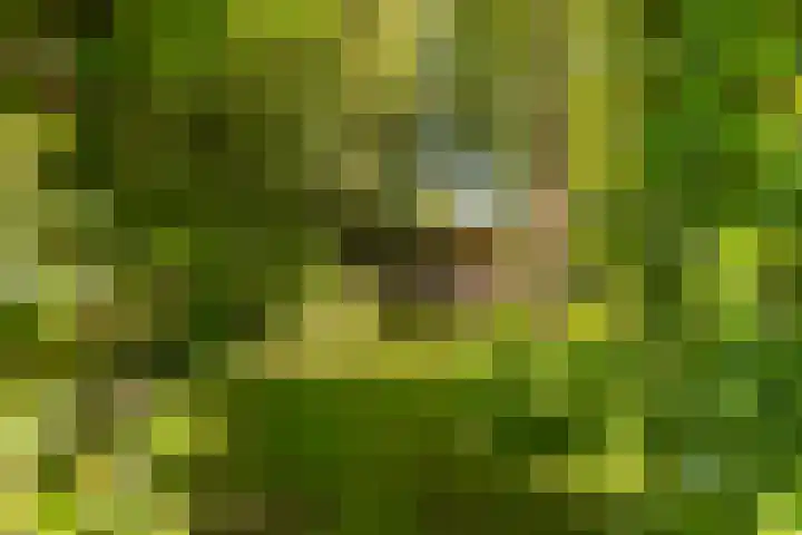 Oude Commissieweg 25 Noardburgum thumbnail 48