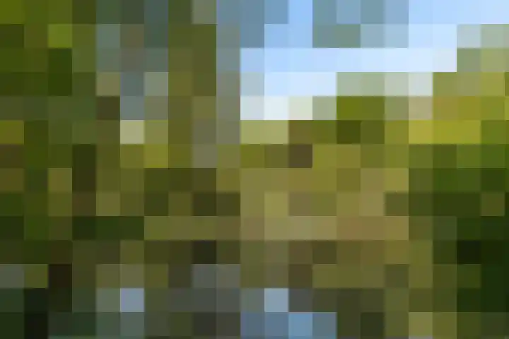 Oude Commissieweg 25 Noardburgum thumbnail 49