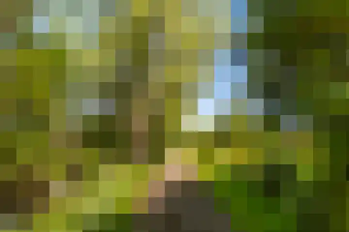 Oude Commissieweg 25 Noardburgum thumbnail 5