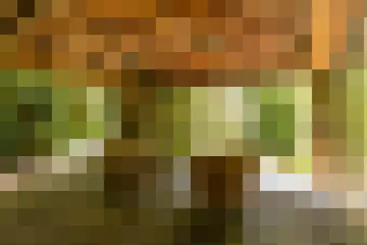 Oude Commissieweg 25 Noardburgum thumbnail 51