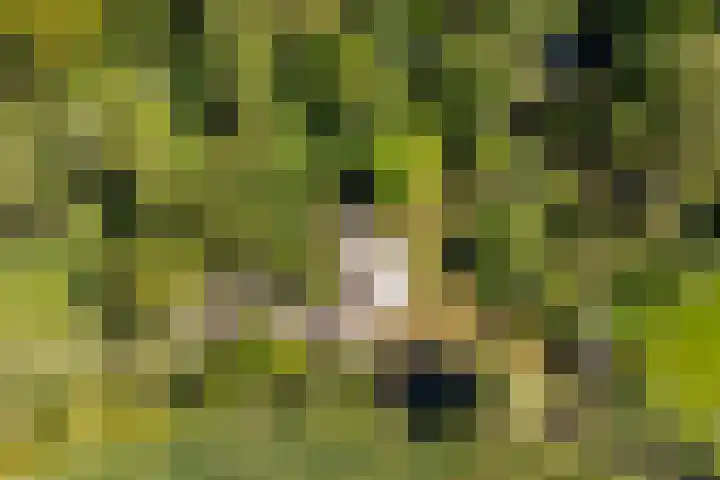 Oude Commissieweg 25 Noardburgum thumbnail 53
