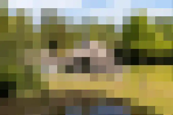 Oude Commissieweg 25 Noardburgum thumbnail 58