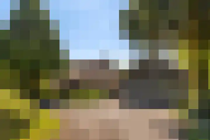 Oude Commissieweg 25 Noardburgum thumbnail 6