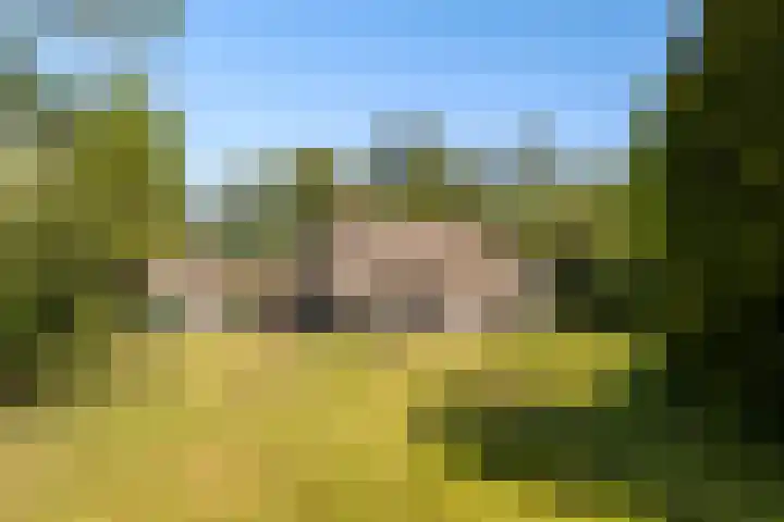 Oude Commissieweg 25 Noardburgum thumbnail 73