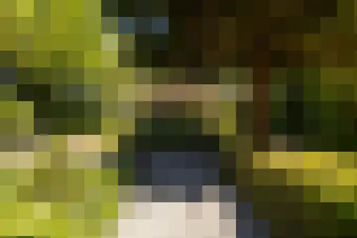 Oude Commissieweg 25 Noardburgum thumbnail 8