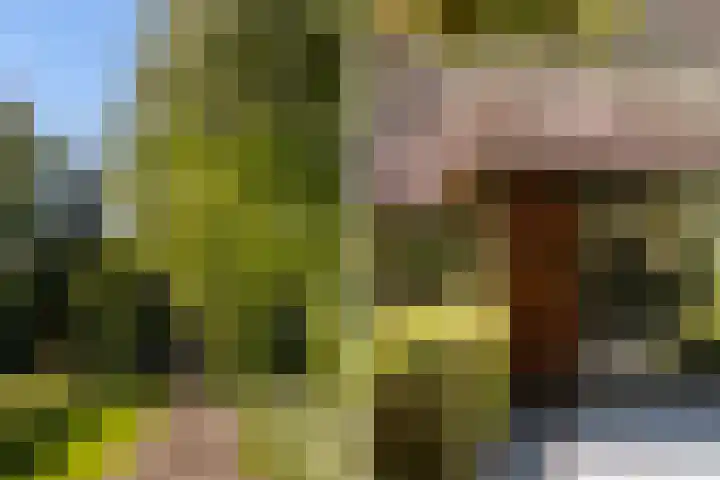 Oude Commissieweg 25 Noardburgum thumbnail 9