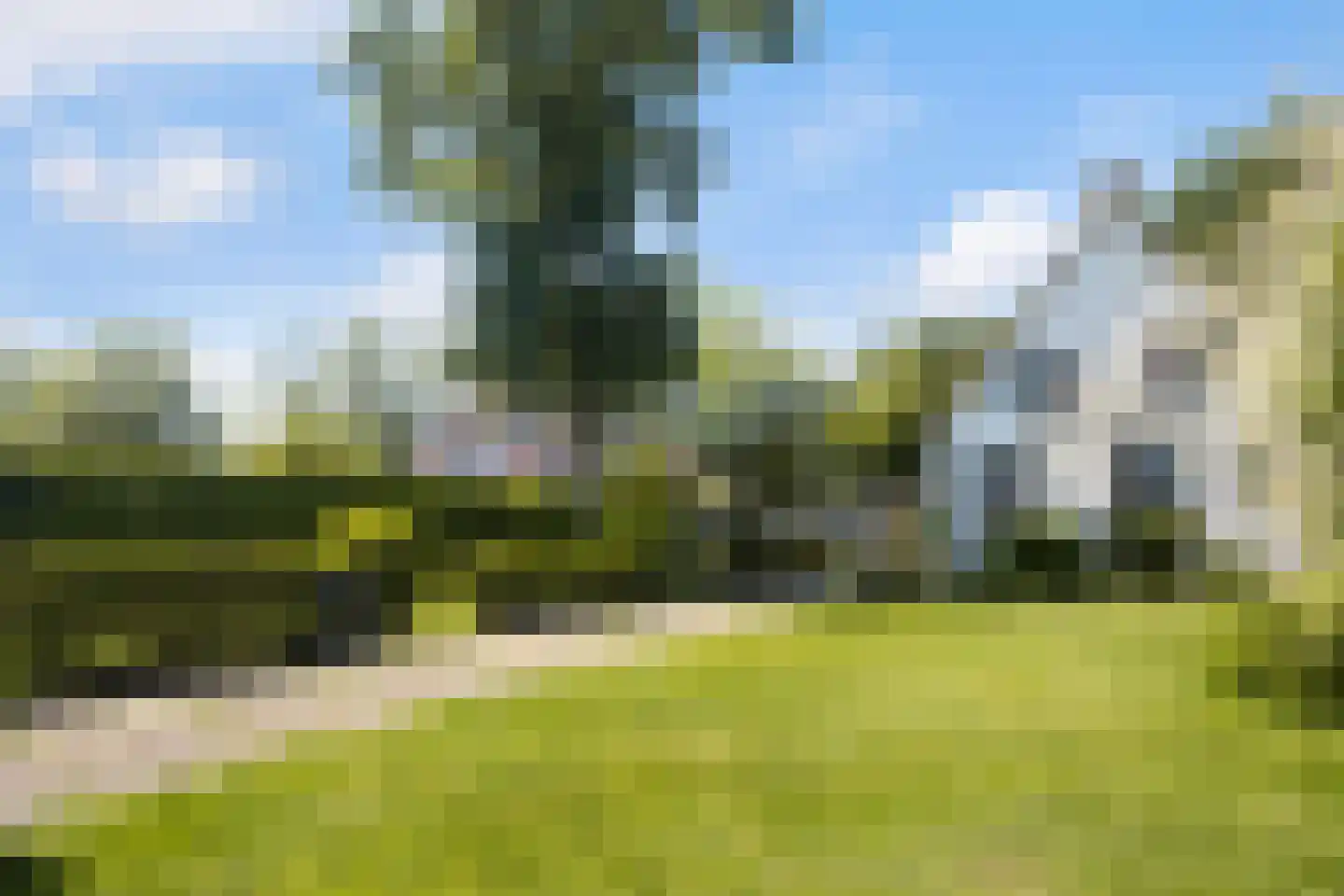 Oude Commissieweg 33 Noardburgum thumbnail 10