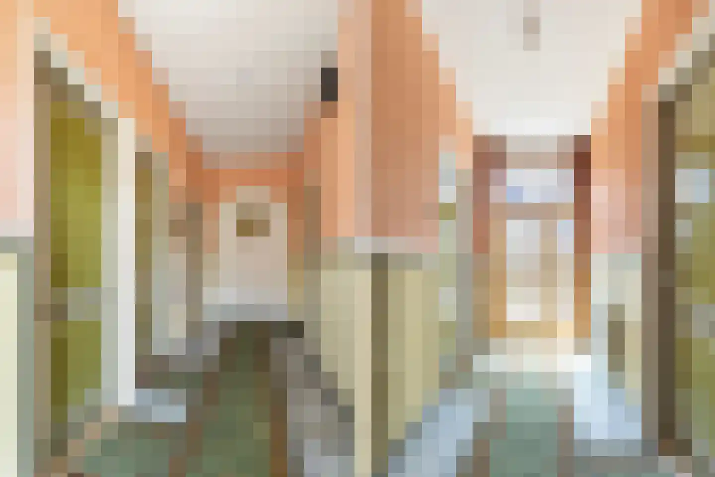 Oude Commissieweg 33 Noardburgum thumbnail 14