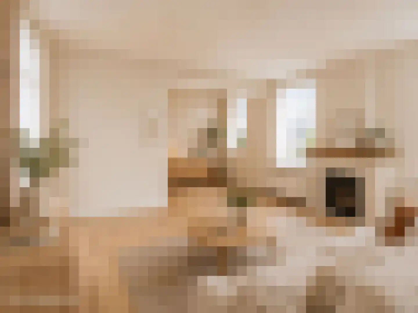 Oude Commissieweg 33 Noardburgum thumbnail 16