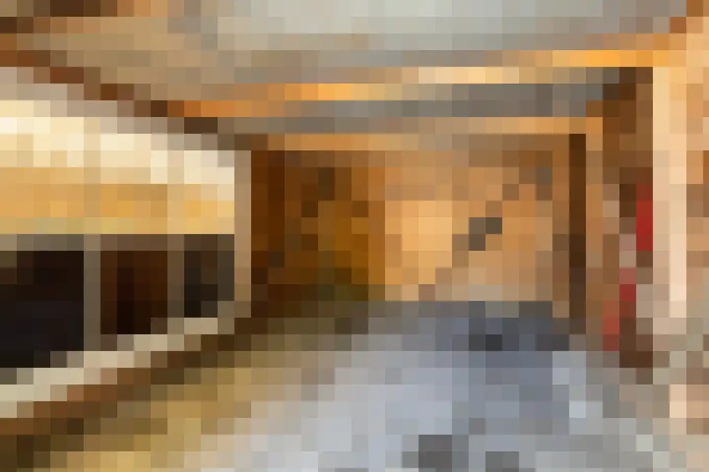 Oude Commissieweg 33 Noardburgum thumbnail 27