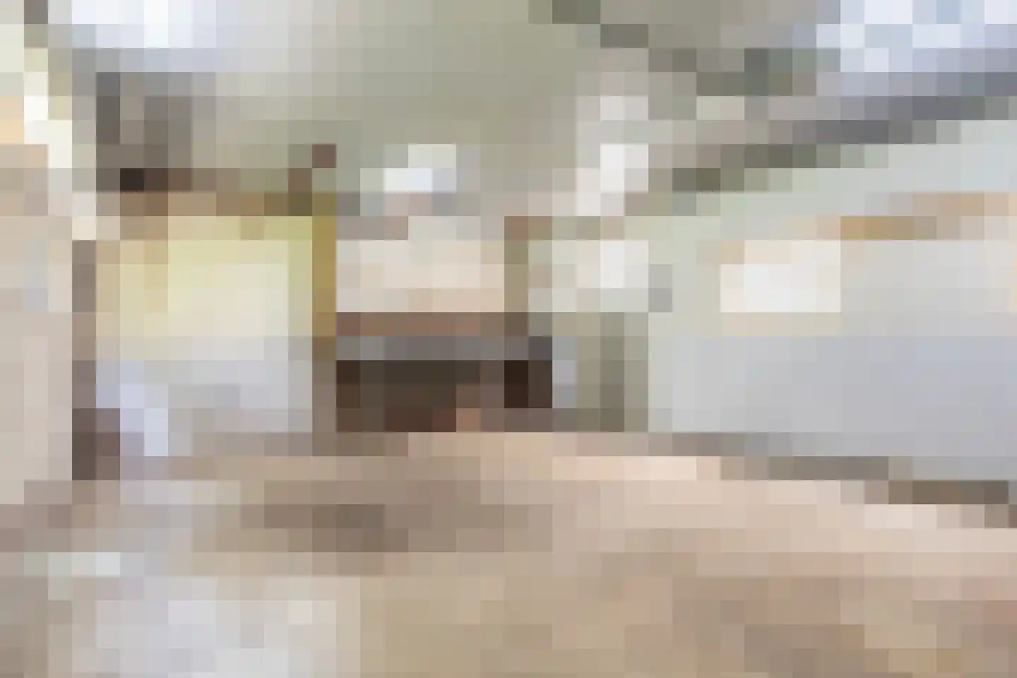 Oude Commissieweg 33 Noardburgum thumbnail 34