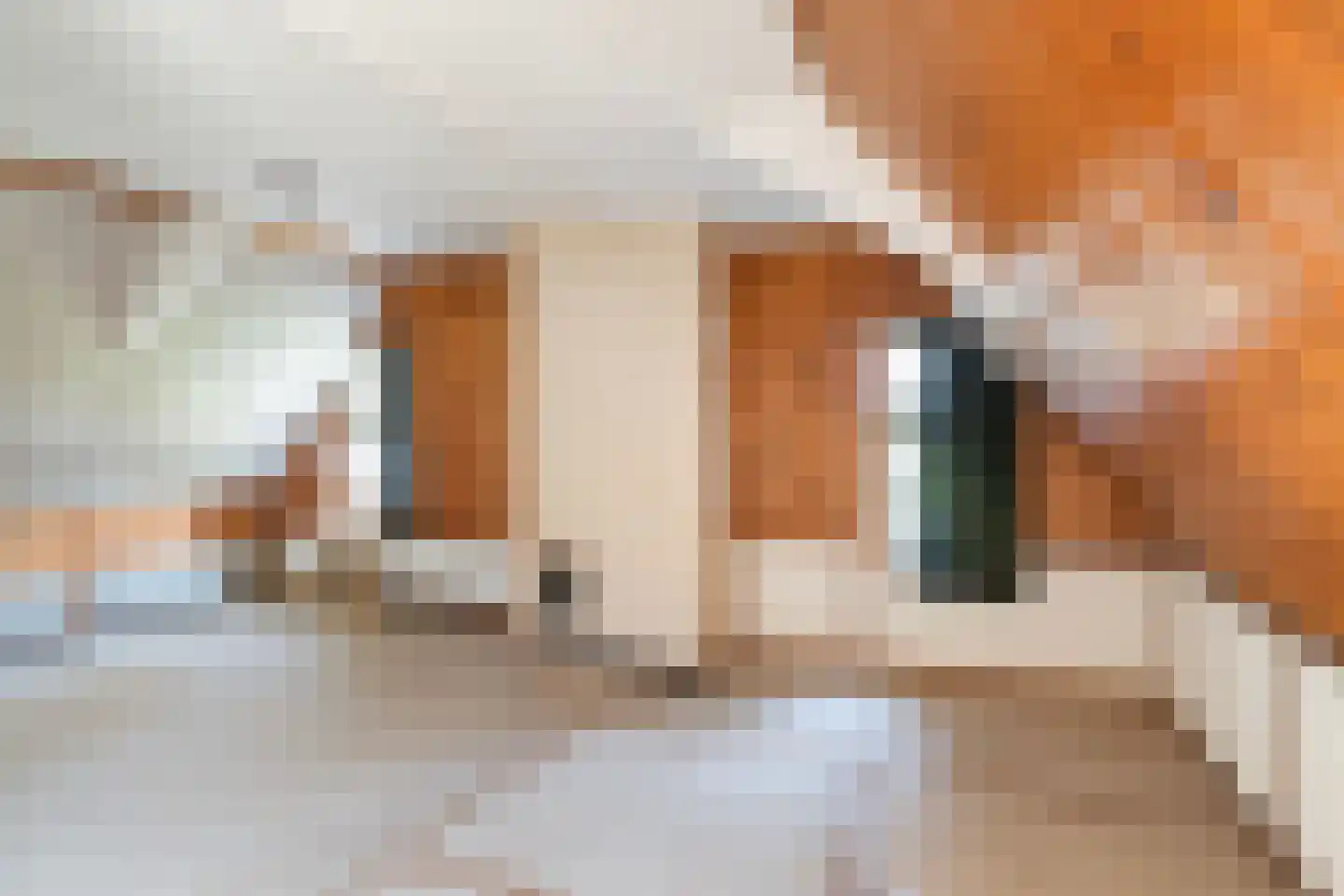 Oude Commissieweg 33 Noardburgum thumbnail 36