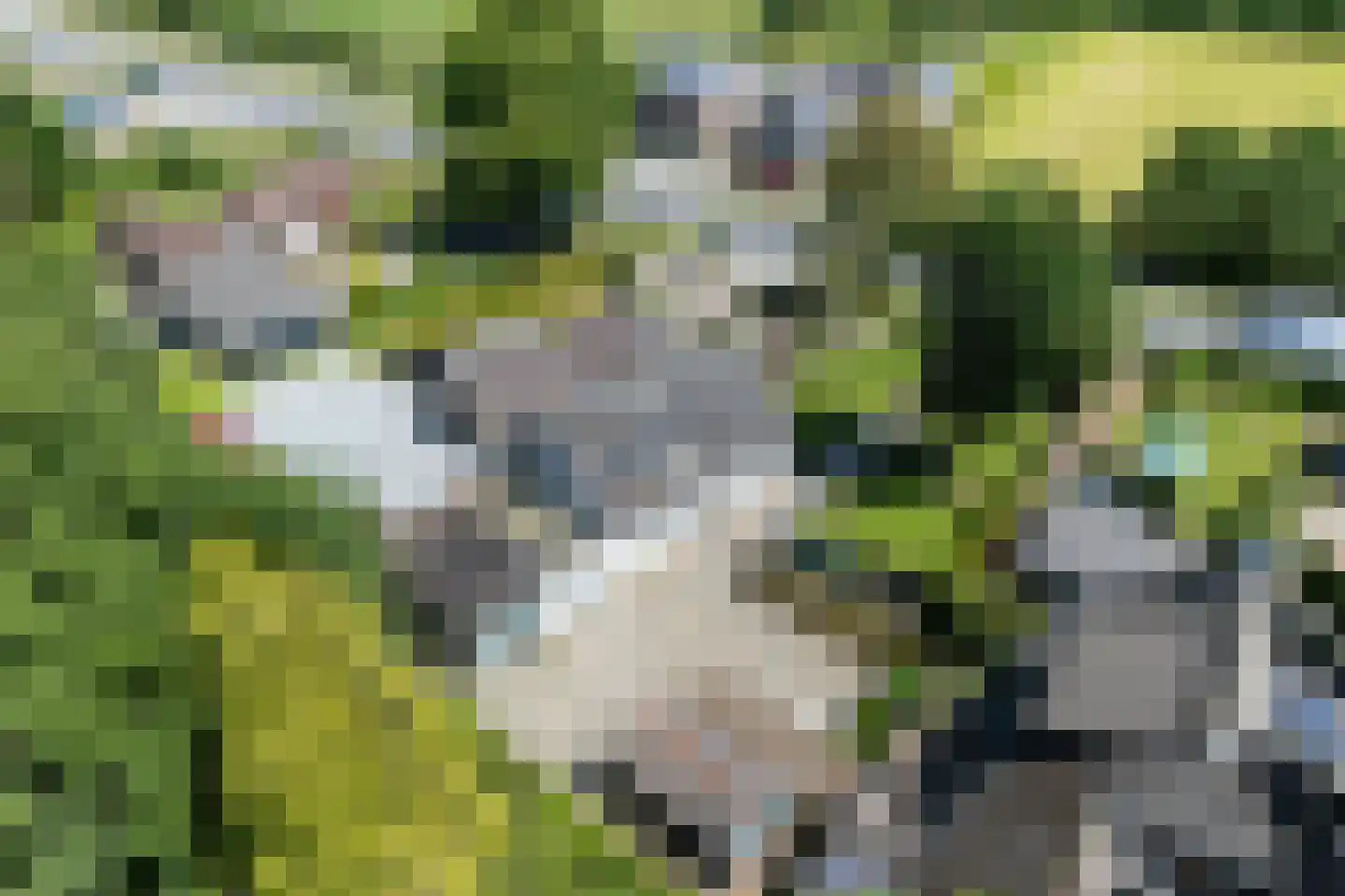 Oude Commissieweg 33 Noardburgum thumbnail 45