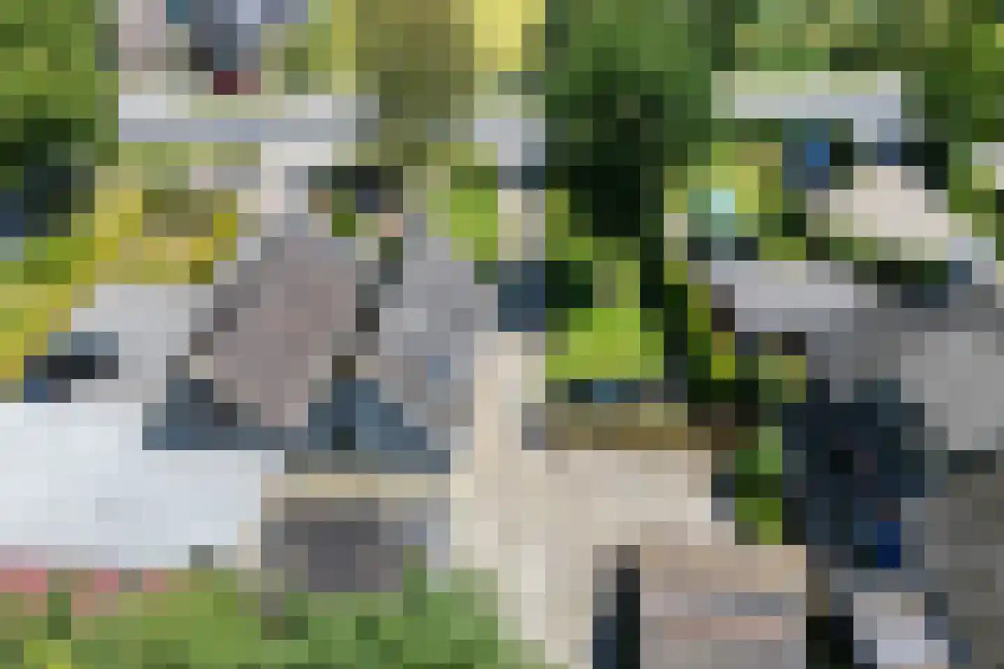 Oude Commissieweg 33 Noardburgum thumbnail 47
