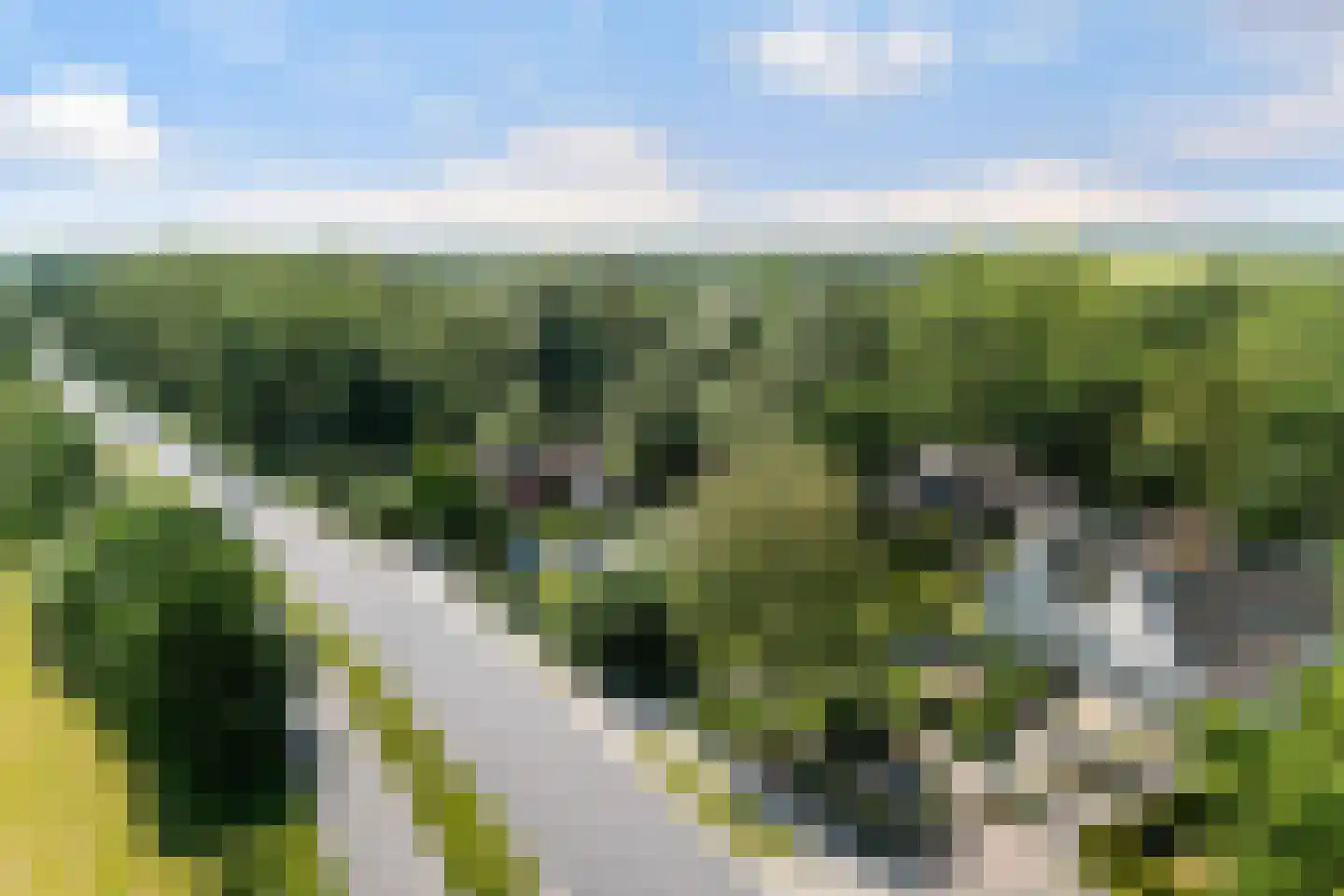 Oude Commissieweg 33 Noardburgum thumbnail 5