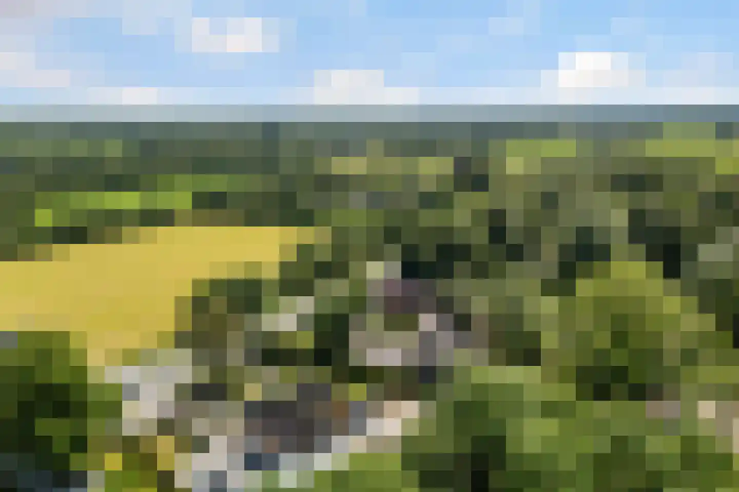 Oude Commissieweg 33 Noardburgum thumbnail 6