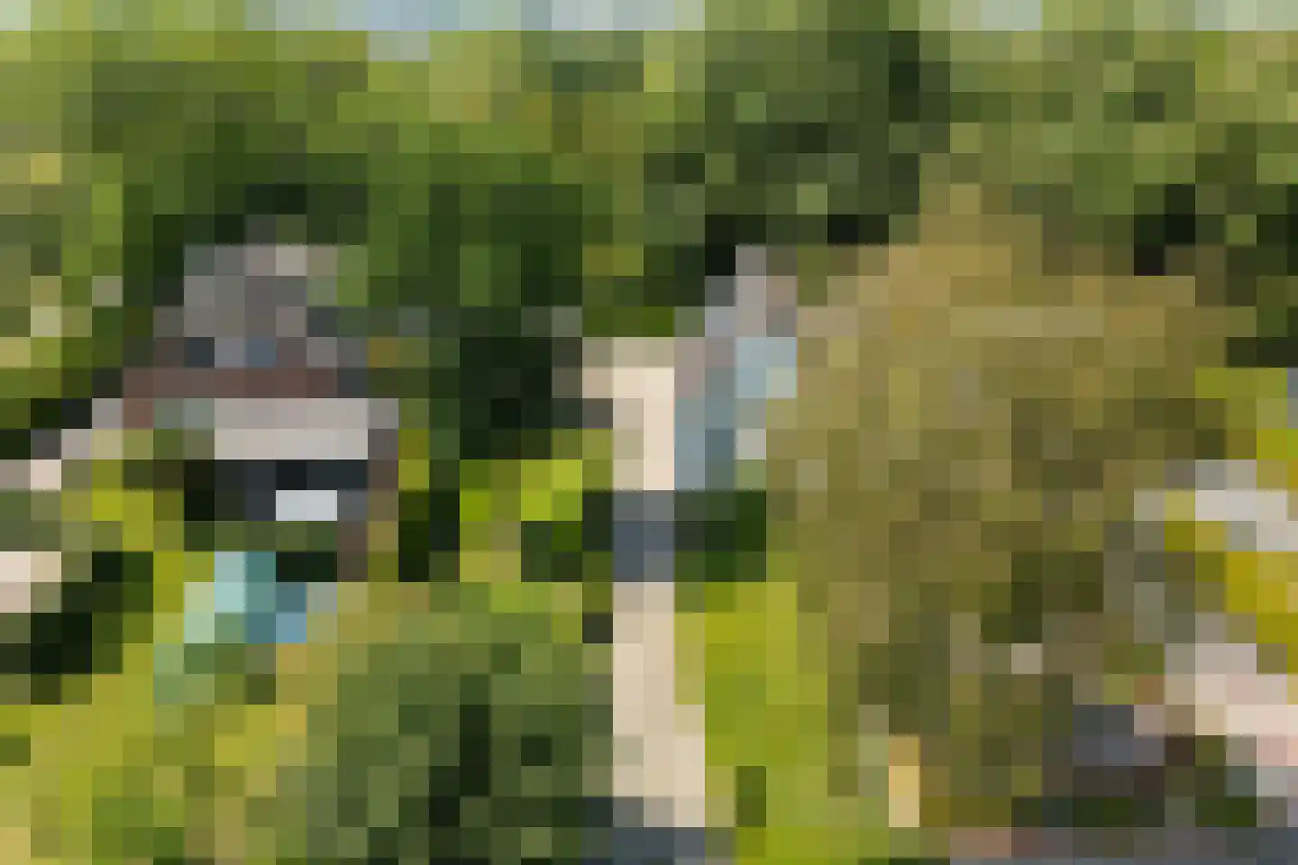 Oude Commissieweg 33 Noardburgum thumbnail 7