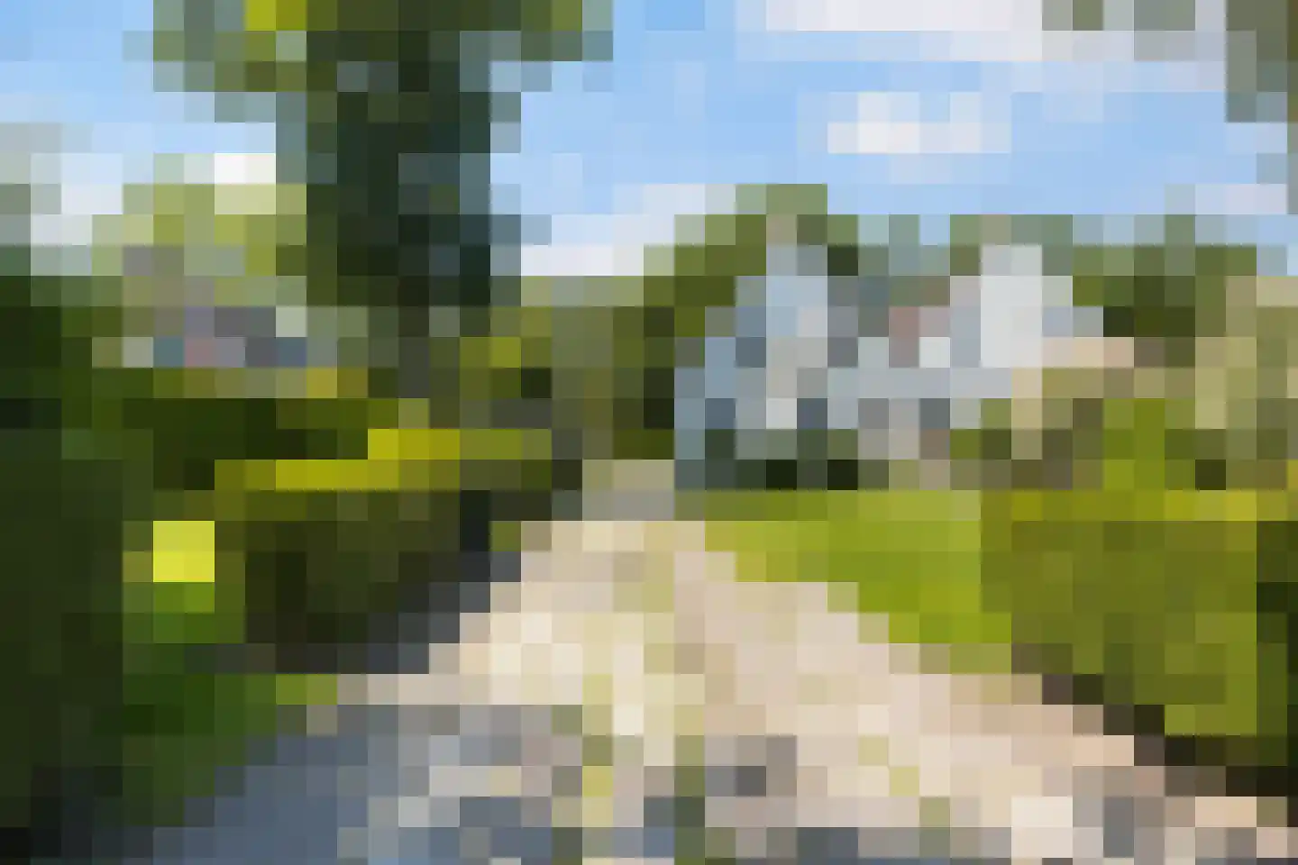 Oude Commissieweg 33 Noardburgum thumbnail 8