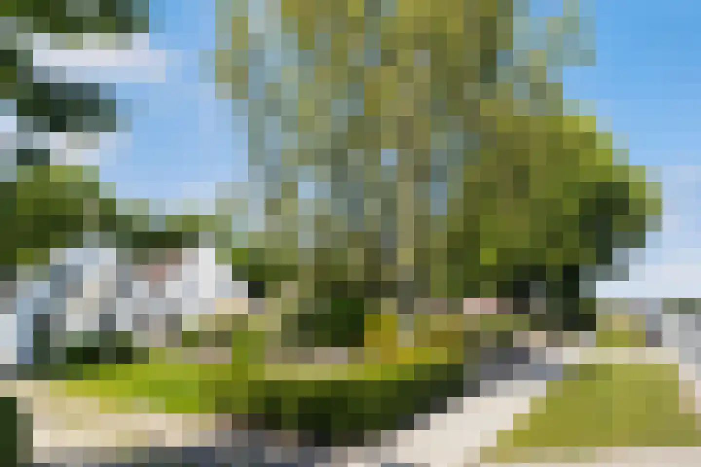 Oude Commissieweg 33 Noardburgum thumbnail 9