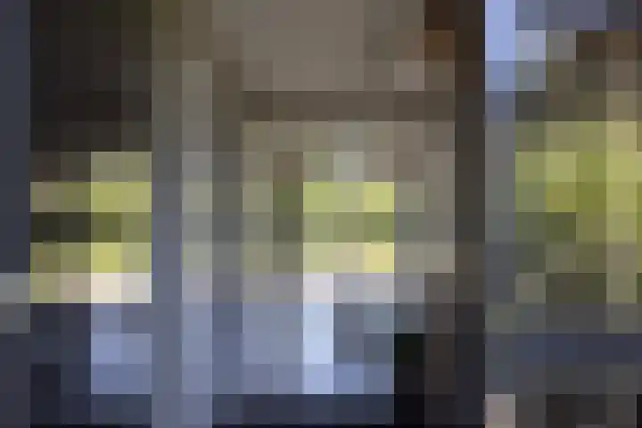 Oude Courageweg 7 Doornspijk thumbnail 10