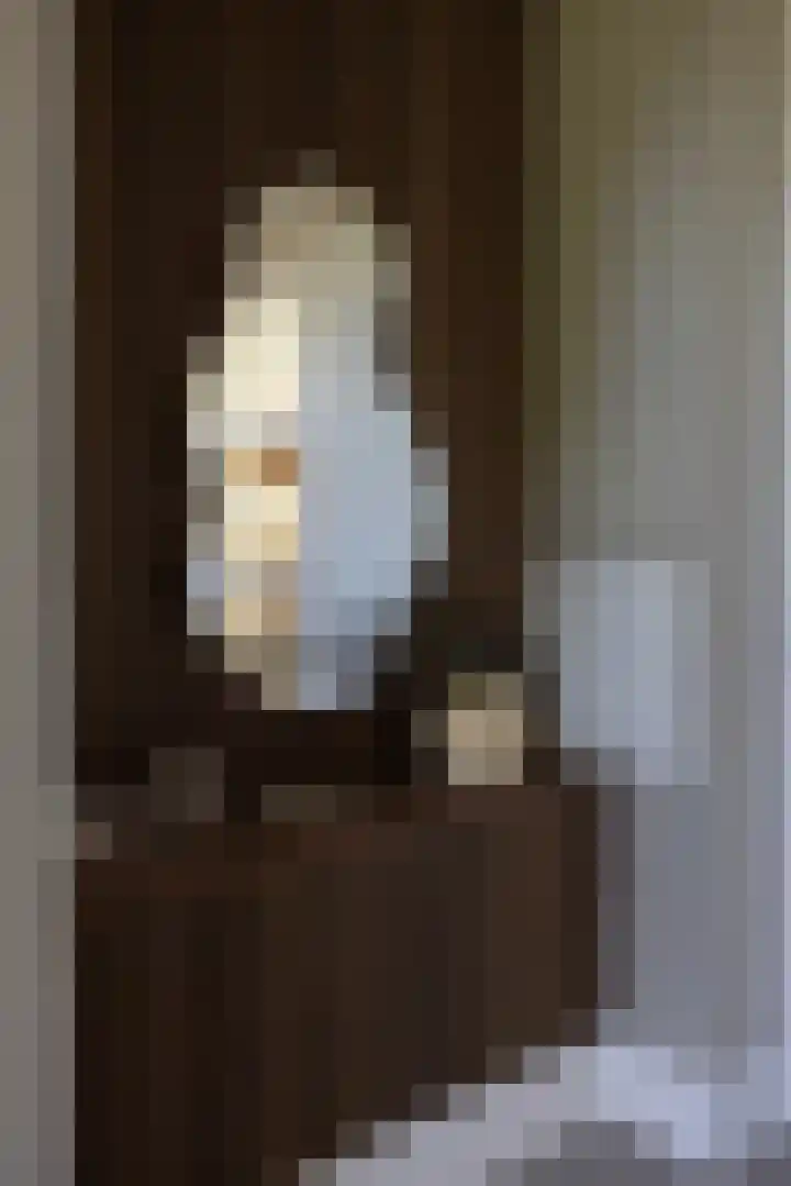 Oude Courageweg 7 Doornspijk thumbnail 11