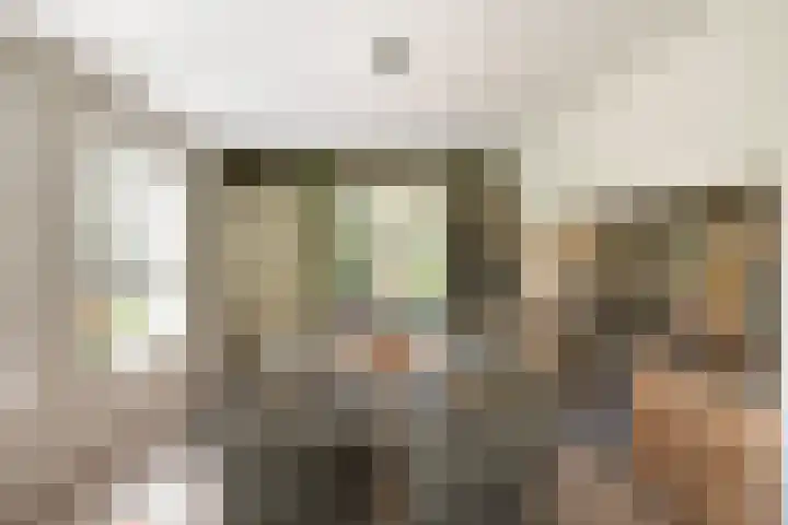 Oude Courageweg 7 Doornspijk thumbnail 15