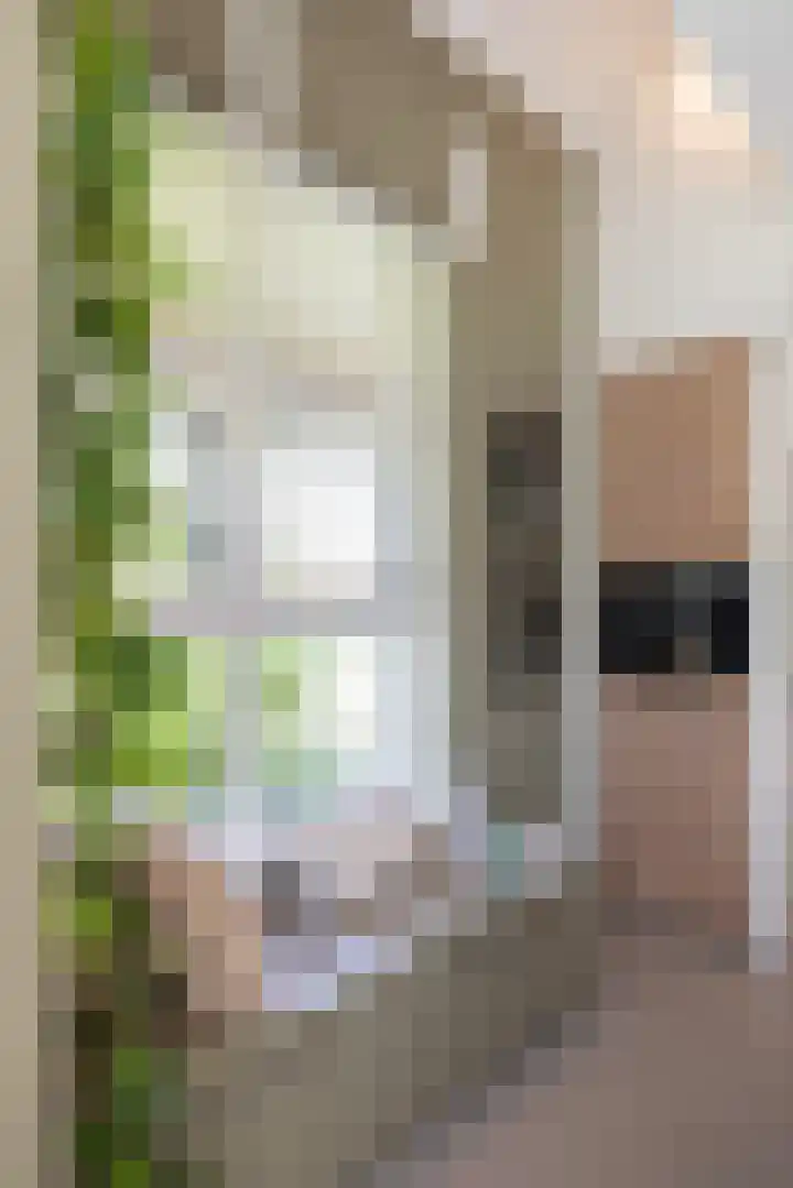 Oude Courageweg 7 Doornspijk thumbnail 16