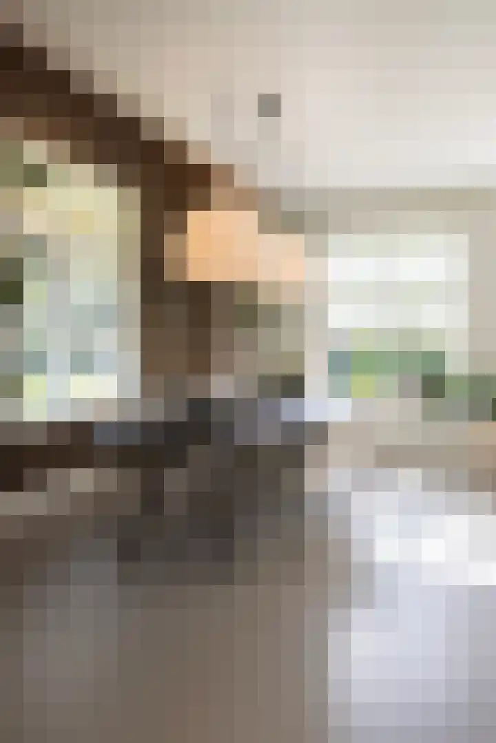 Oude Courageweg 7 Doornspijk thumbnail 19