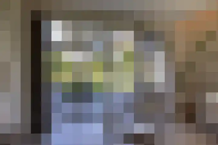 Oude Courageweg 7 Doornspijk thumbnail 22