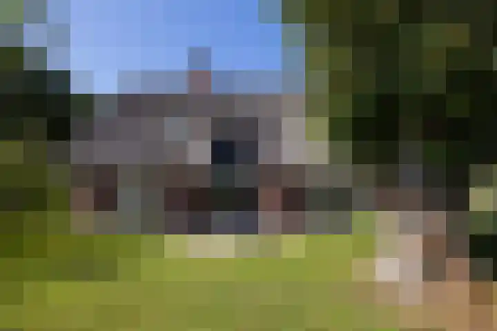 Oude Courageweg 7 Doornspijk thumbnail 23