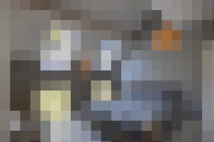 Oude Courageweg 7 Doornspijk thumbnail 25