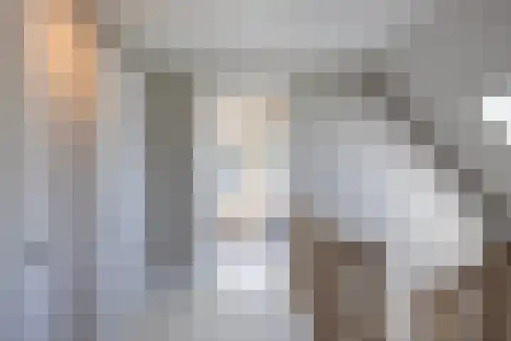 Oude Courageweg 7 Doornspijk thumbnail 28