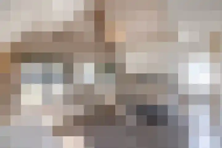 Oude Courageweg 7 Doornspijk thumbnail 29