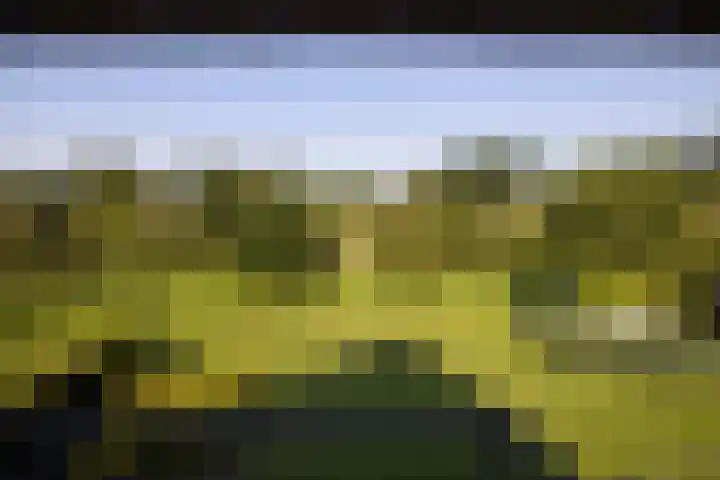 Oude Courageweg 7 Doornspijk thumbnail 33