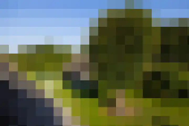Oude Courageweg 7 Doornspijk thumbnail 34