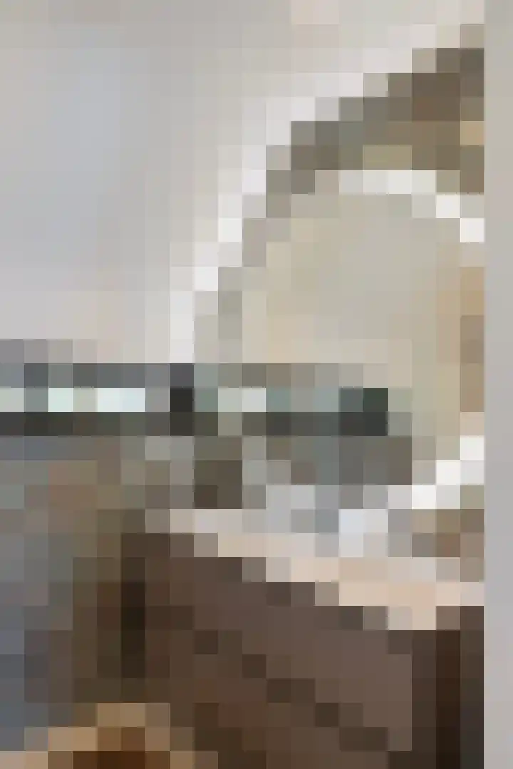 Oude Courageweg 7 Doornspijk thumbnail 35