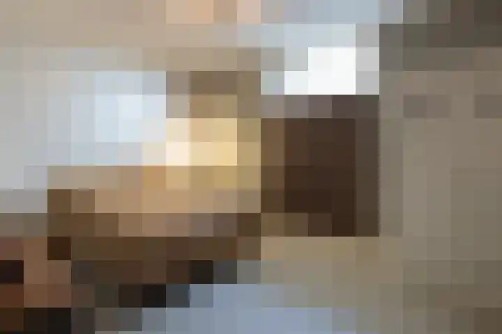 Oude Courageweg 7 Doornspijk thumbnail 39