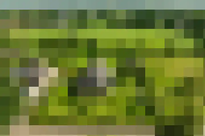 Oude Courageweg 7 Doornspijk thumbnail 4