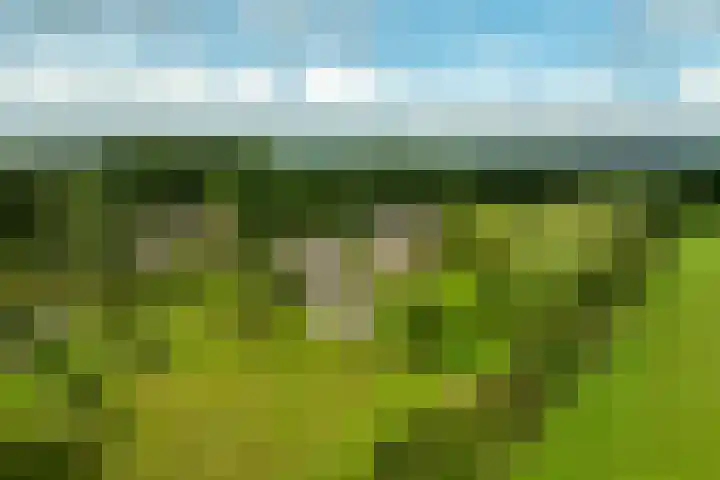 Oude Courageweg 7 Doornspijk thumbnail 42