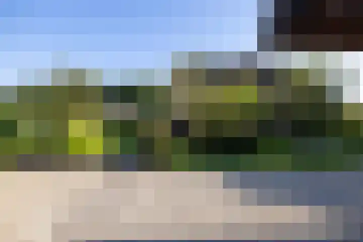 Oude Courageweg 7 Doornspijk thumbnail 43