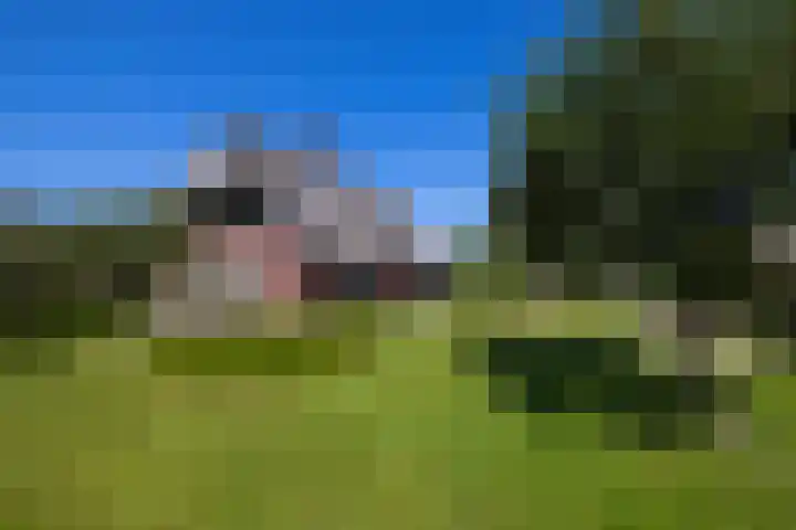 Oude Courageweg 7 Doornspijk thumbnail 44