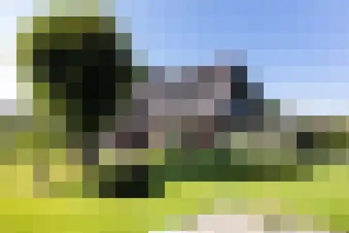 Oude Courageweg 7 Doornspijk thumbnail 45