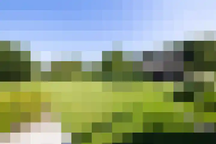 Oude Courageweg 7 Doornspijk thumbnail 47