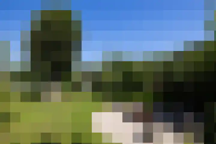 Oude Courageweg 7 Doornspijk thumbnail 48