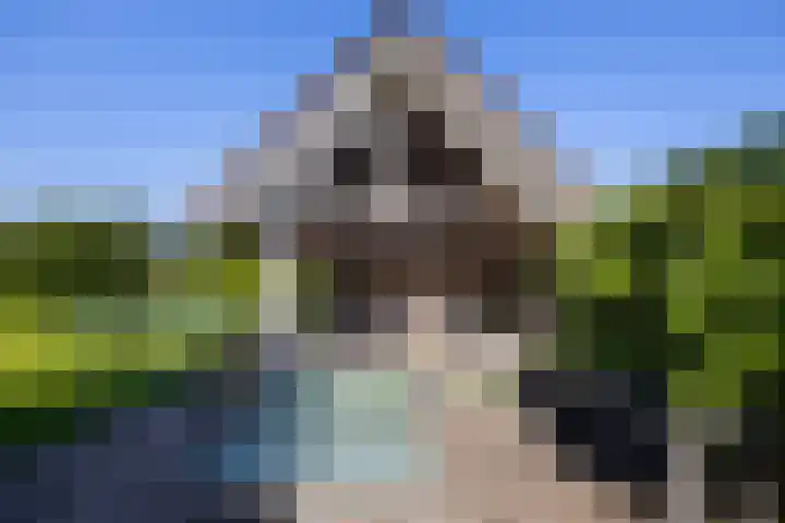 Oude Courageweg 7 Doornspijk thumbnail 49