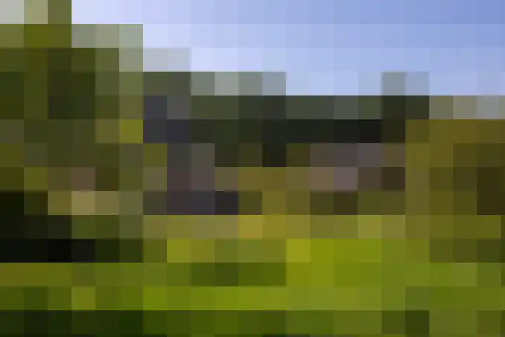 Oude Courageweg 7 Doornspijk thumbnail 5