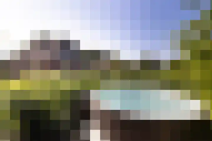 Oude Courageweg 7 Doornspijk thumbnail 50