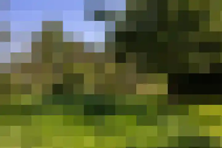 Oude Courageweg 7 Doornspijk thumbnail 51