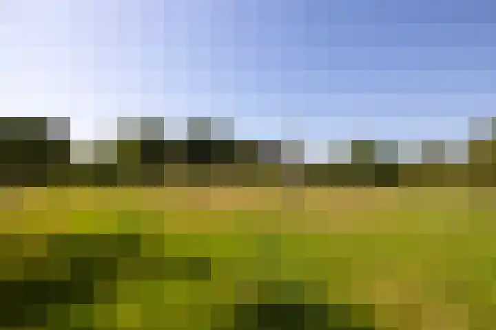 Oude Courageweg 7 Doornspijk thumbnail 52